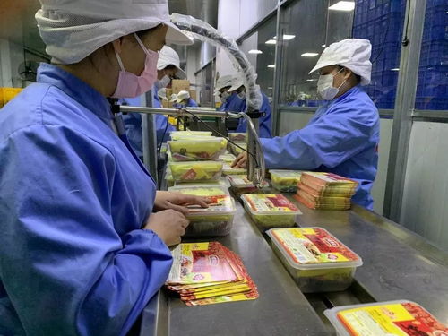 落實優惠政策，拓展“非接觸式”辦稅，稅務部門多措并舉助力企業復工復產